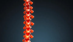 Übungsleser aufgepasst: effektive Übungen gegen Arthrose in der Lendenwirbelsäule entdecken