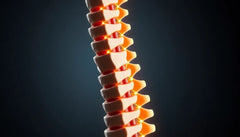 Übungsleser: effektive Übungen zur Entlastung der Wirbelsäule und Nerven